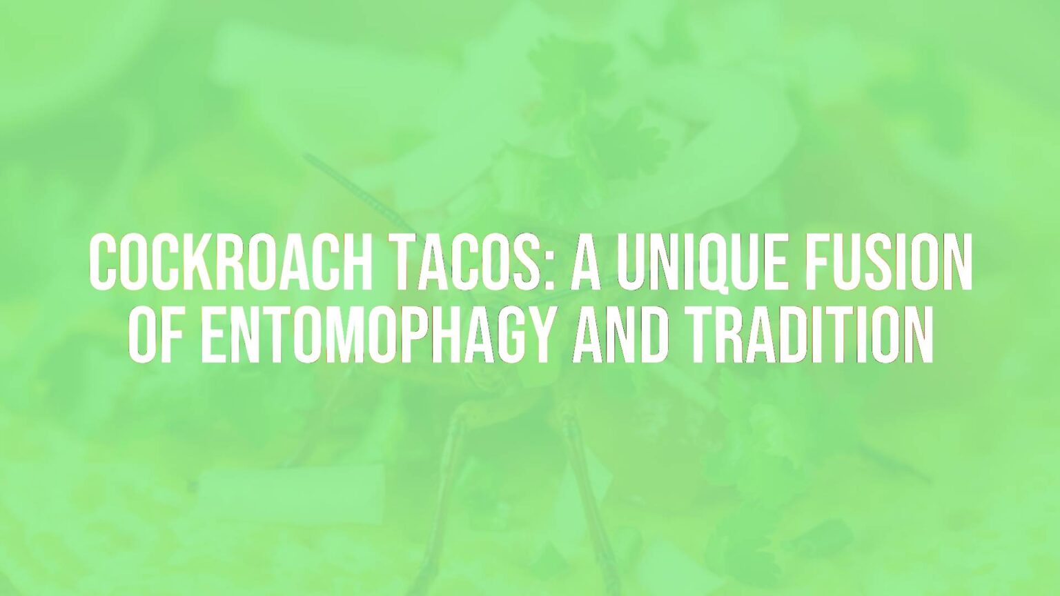 Cockroach Tacos: A Unique Fusion of Entomophagy and Tradition – Los Manquis